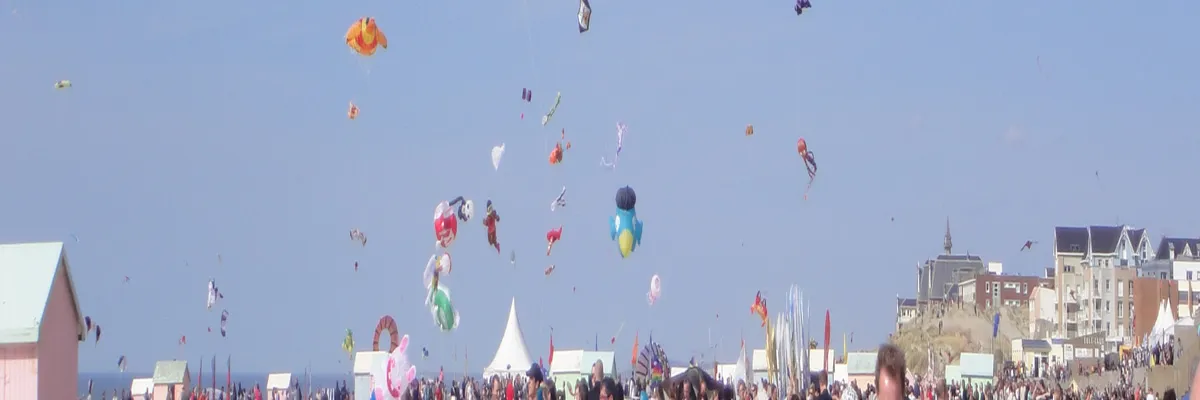 Image Installation abri de piscine Berck