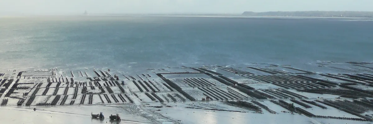 Image Installation abri de piscine Cancale