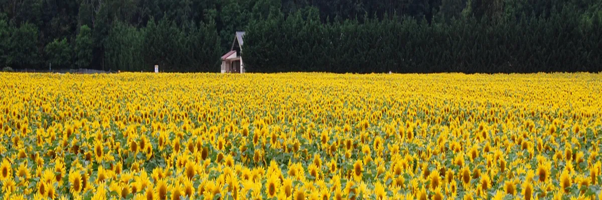 Image Installation abri de piscine Centre-Val de Loire