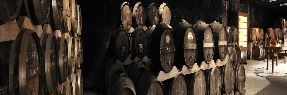 Image Installation abri de piscine Cognac