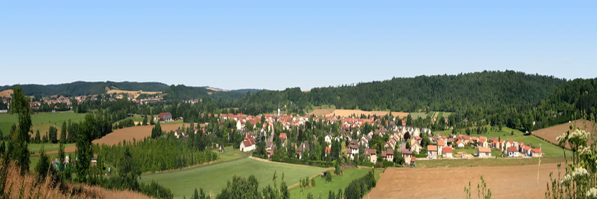 Image Installation abri de piscine Commercy