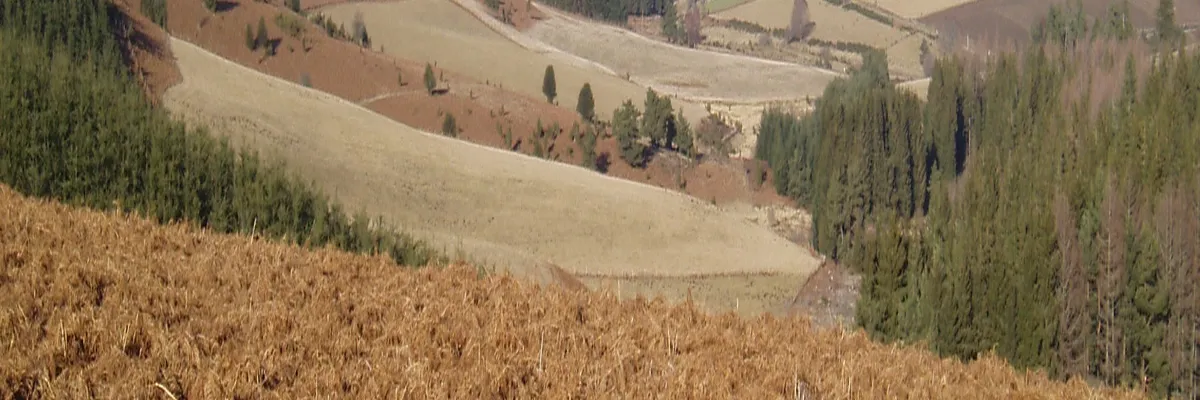 Image Installation abri de piscine Creuse