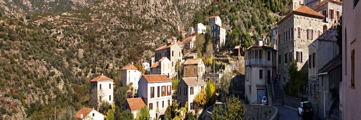 Image Installation abri de piscine Haute-Corse