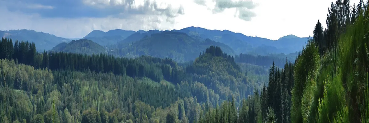 Image Installation abri de piscine Haute-Vienne