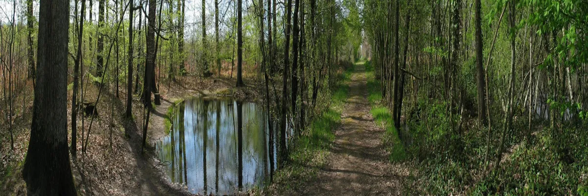 Image Installation abri de piscine Indre