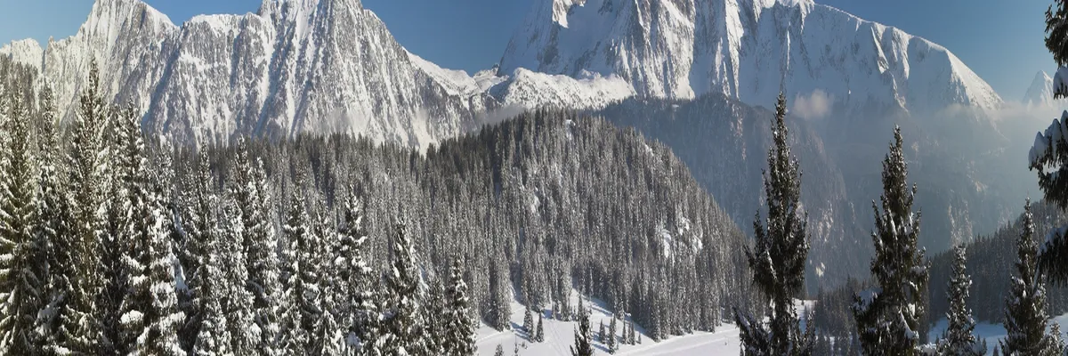 Image Installation abri de piscine Isère