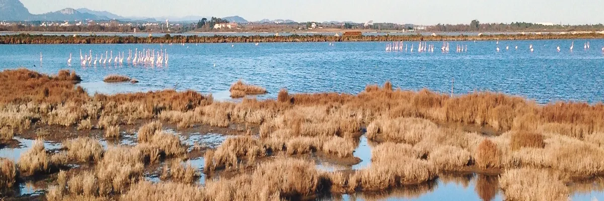 Image Installation abri de piscine Lattes