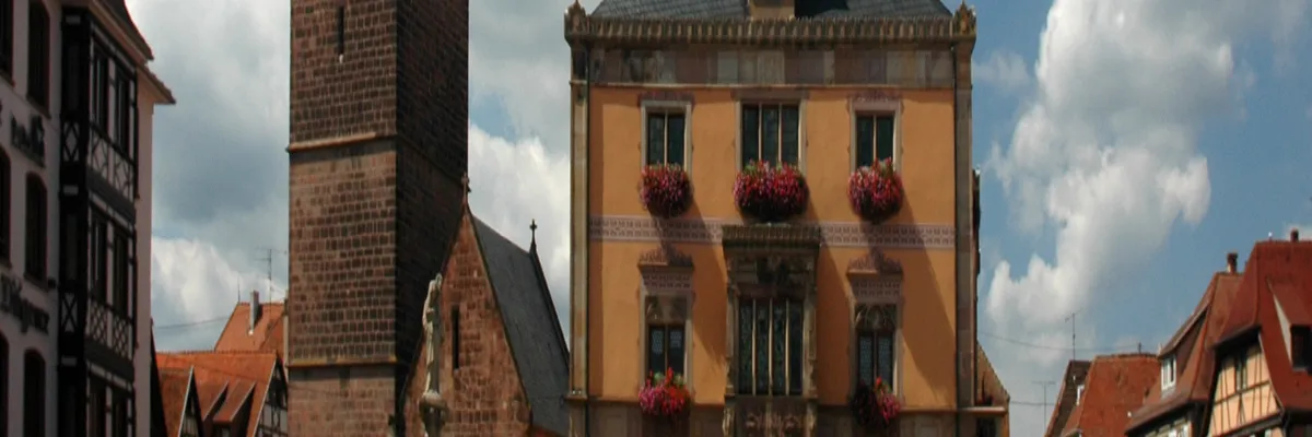 Image Installation abri de piscine Obernai