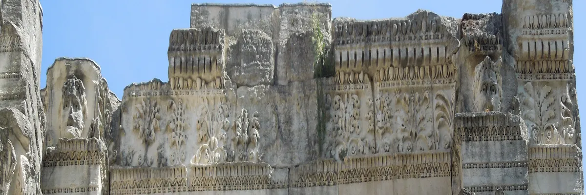 Image Installation abri de piscine Vienne