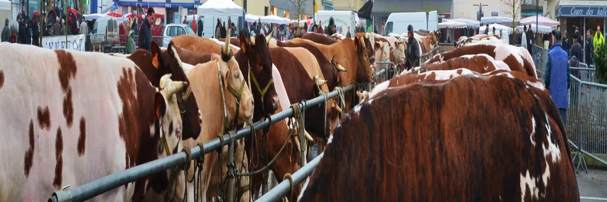 Image Installation abri de piscine Yvetot