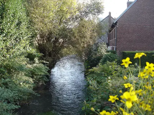 Abri Piscine Sur Mesure Installation abri de piscine Déville-lès-Rouen