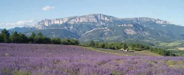 Abri Piscine Sur Mesure Installation abri de piscine Drôme