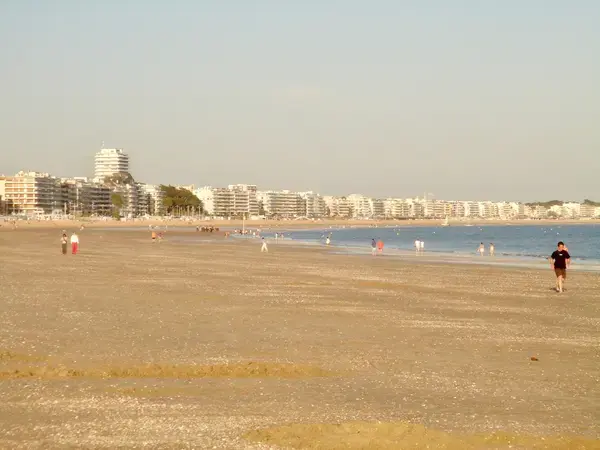 Abri Piscine Sur Mesure Installation abri de piscine La Baule-Escoublac
